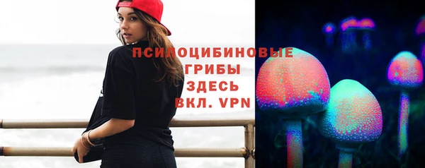 ALPHA PVP Алексеевка
