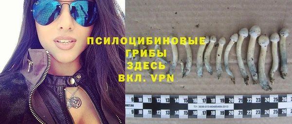 мяу мяу кристалл Алексин
