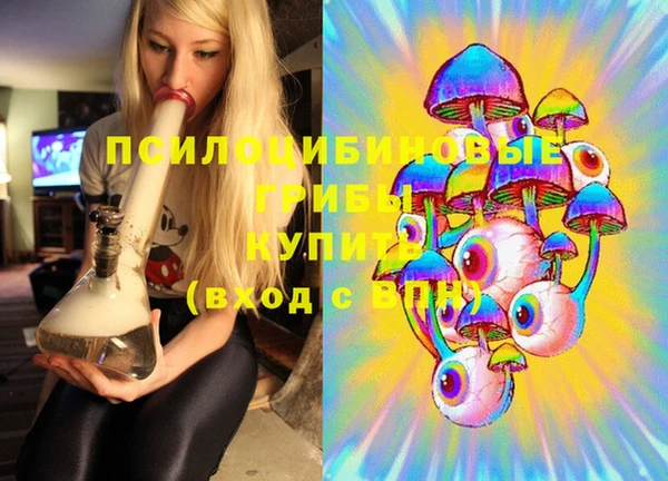 амф Рославль