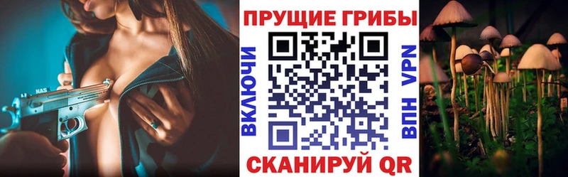 Галлюциногенные грибы мицелий  где купить наркоту  Невьянск 